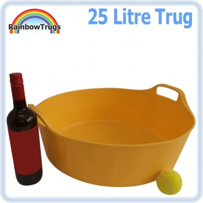 25 Litre Rainbow Trug - PURPLE VELVET